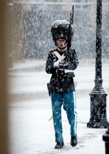 Capture_decran_2025-11-21_131152